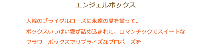 エンジェルボックス 大輪のブライダルローズに永遠の愛を誓って。ボックスいっぱい愛が詰め込まれたロマンチックでスイートなフラワーボックスでサプライズなプロポーズを。